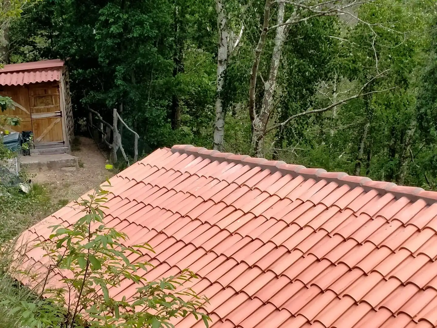Garden of Country homes for sale in Piloña