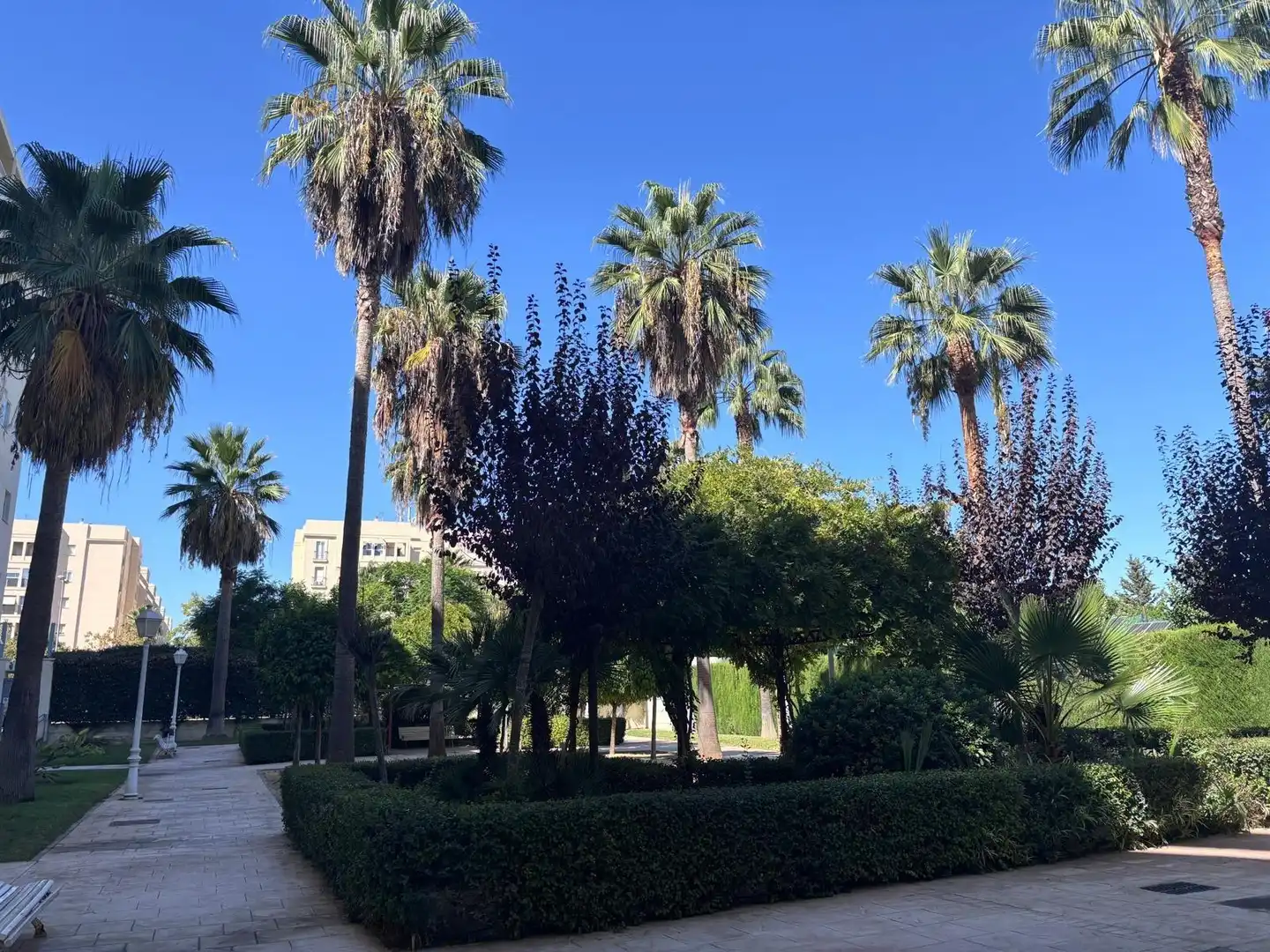 Wohnung mit Pool zum Verkauf in Caballero Bonald - San José Obrero - Guadalcacín, imagen 29