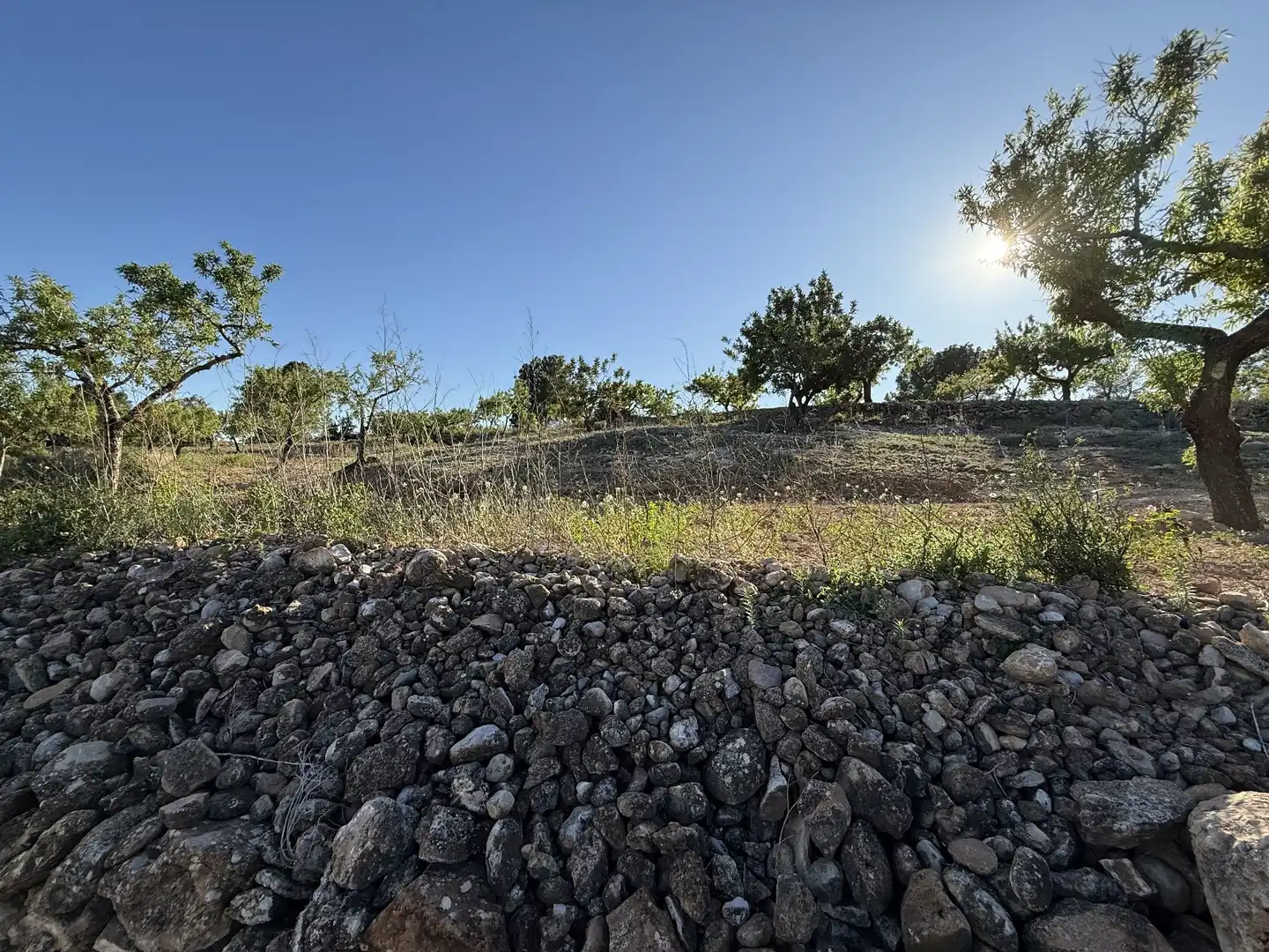 Grundstücke zum Verkauf in Useras /  Les Useres, Castellón