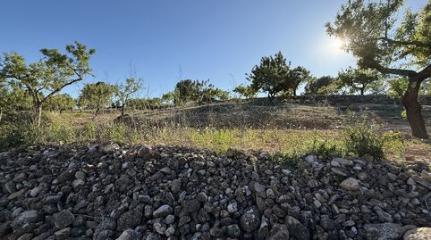 Foto 3 de Terreno en venta en Camí Vell de Llucena, 1, Useras / Les Useres, Castellón