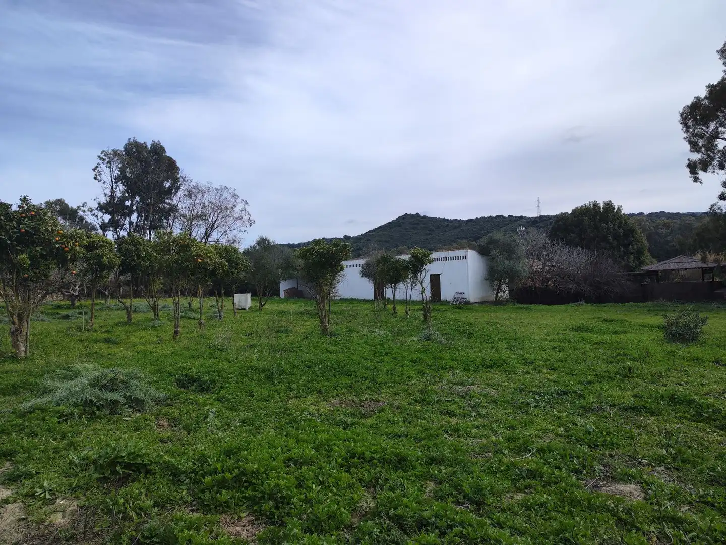 Maison rustique à vendre à San Martín del Tesorillo, imagen 6