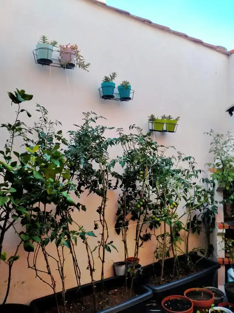 Terraza de Casa o chalet en venta en Malagón