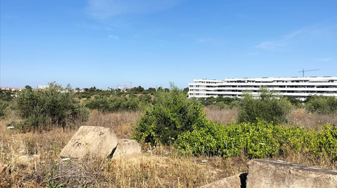 Foto 3 de Residencial en venda a Sitio del Valle, Ciudad Expo, Sevilla