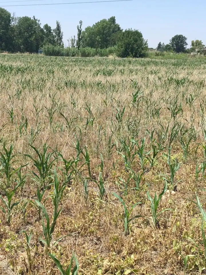 Terreni e lotti in vendita a Camino de Zamoray, imagen 4