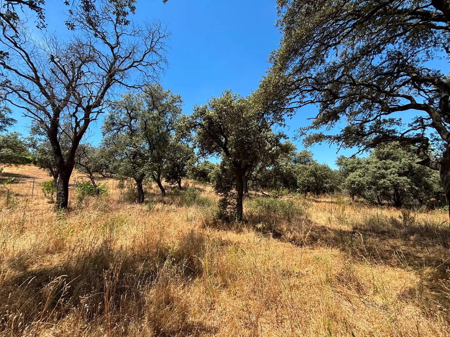 Residential land for sale in Paseo del Perú, imagen 19