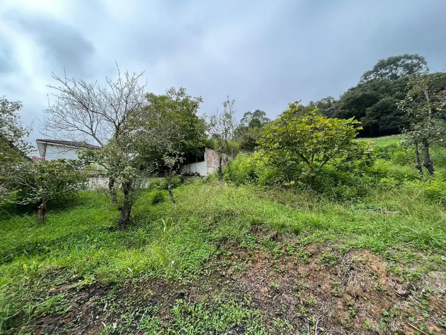 Casa o xalet en venda en Arnuero amb Terrassa i Traster