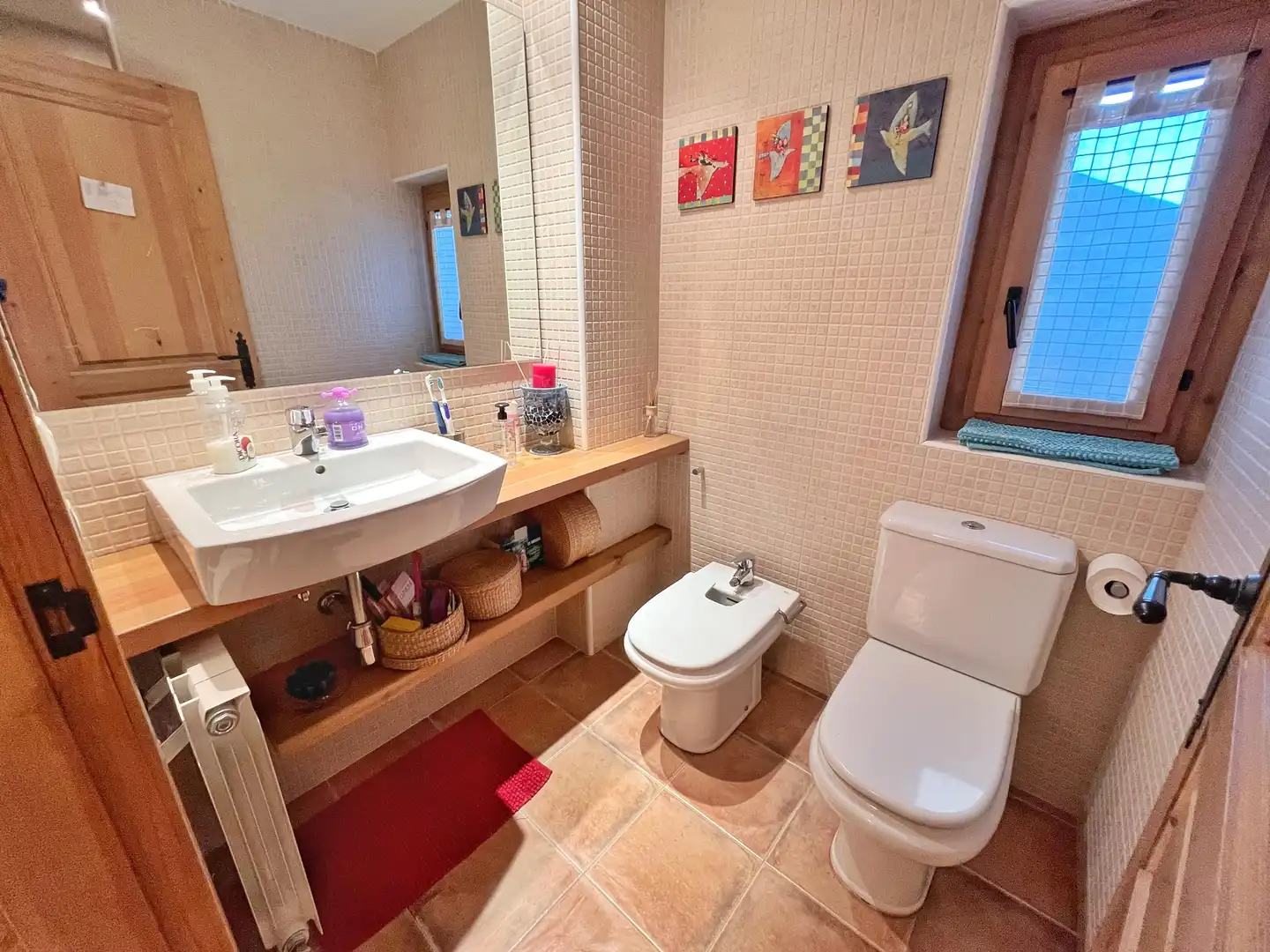 Baño de Casa o chalet en venta en Alp poble