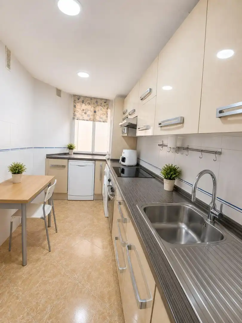 Cuina de Pis de lloguer en Málaga amb Aire condicionat i Moblat