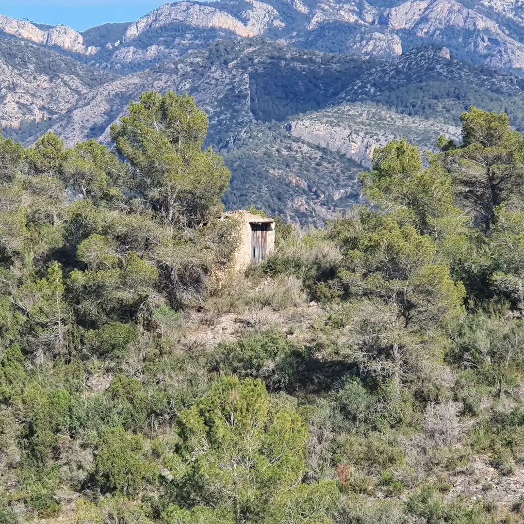 Terrain rustique à vendre à Benifallet, imagen 3