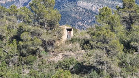 Suelo agrícola en venta en Benifallet, immagine 3