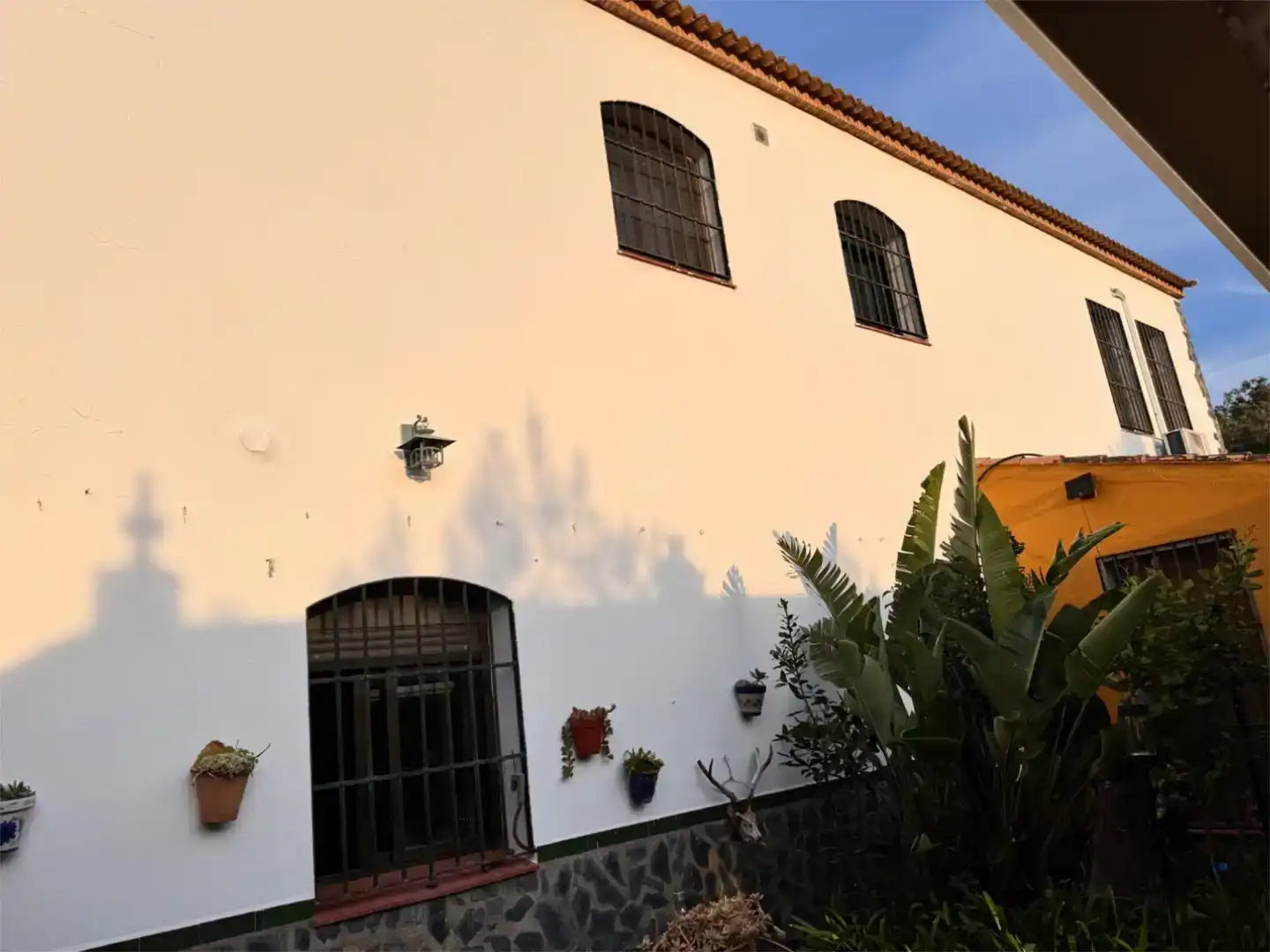 Vista exterior de Finca rústica en venta en El Madroño con Aire acondicionado, Jardín privado y Parquet