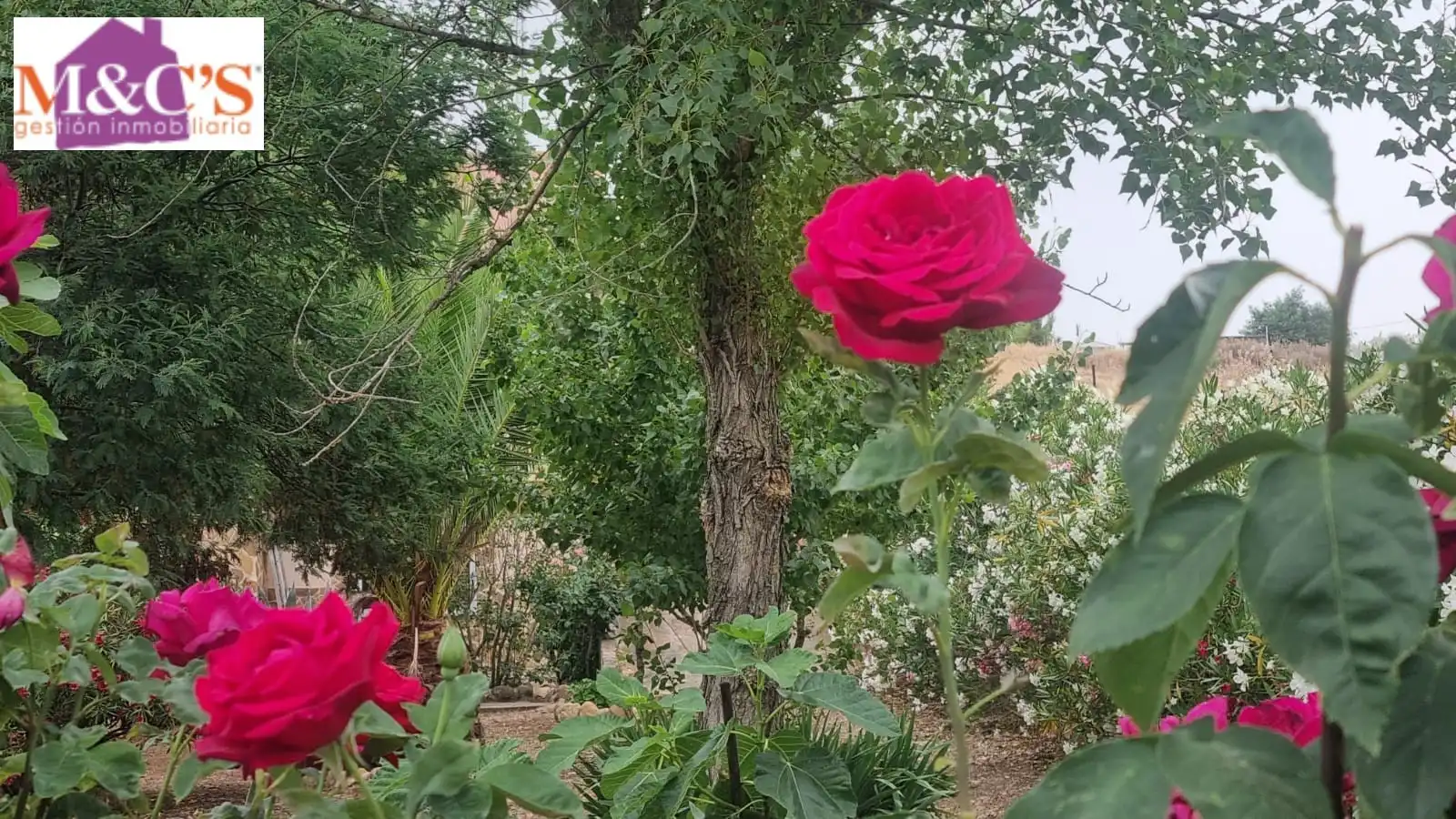 Garden of Houses for sale in Hinojosas de Calatrava  with Air Conditioner, Heating and Private garden