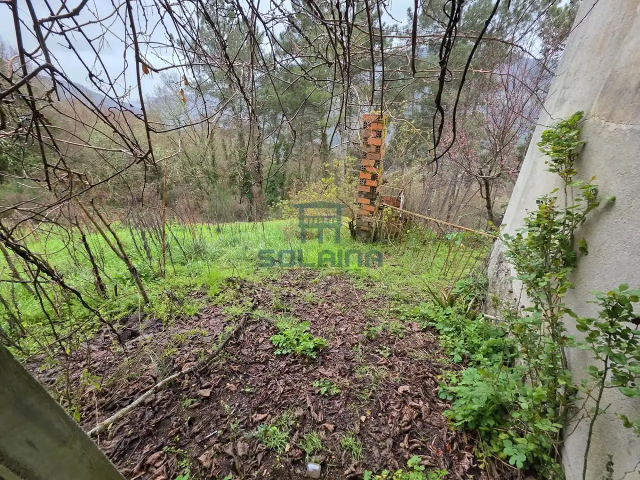 Casa o xalet en venda en Pantón amb Calefacció i Jardí privat
