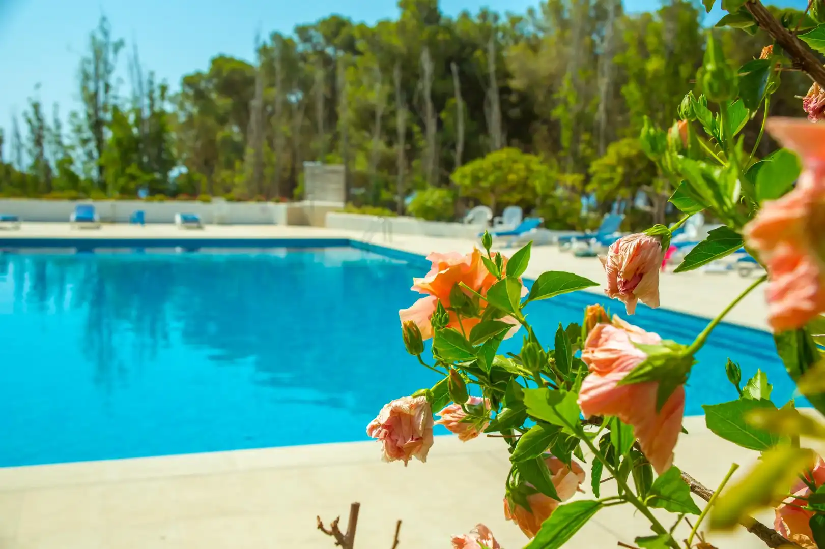 Swimming pool of Flat for sale in Tossa de Mar  with Heating, Swimming Pool and Furnished