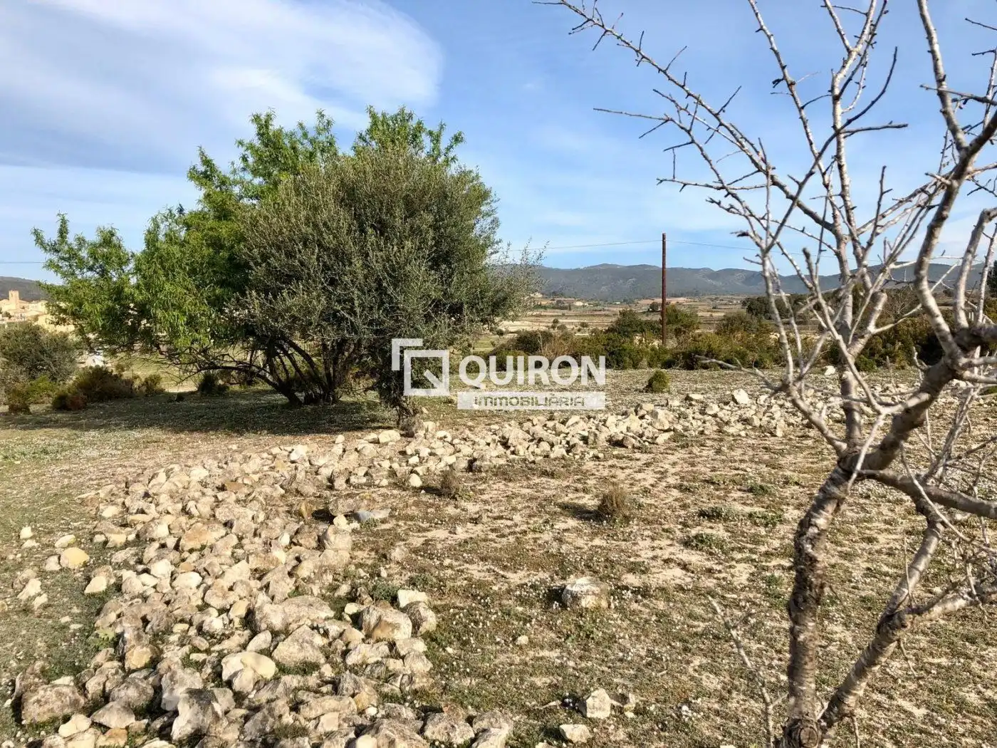 Terreno rustico in vendita a Sant Jaume dels Domenys, imagen 6