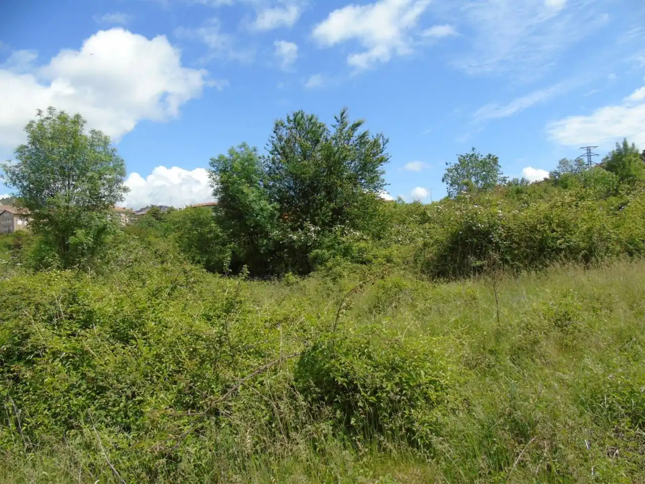 Terreno rustico in vendita a Berga, imagen 8