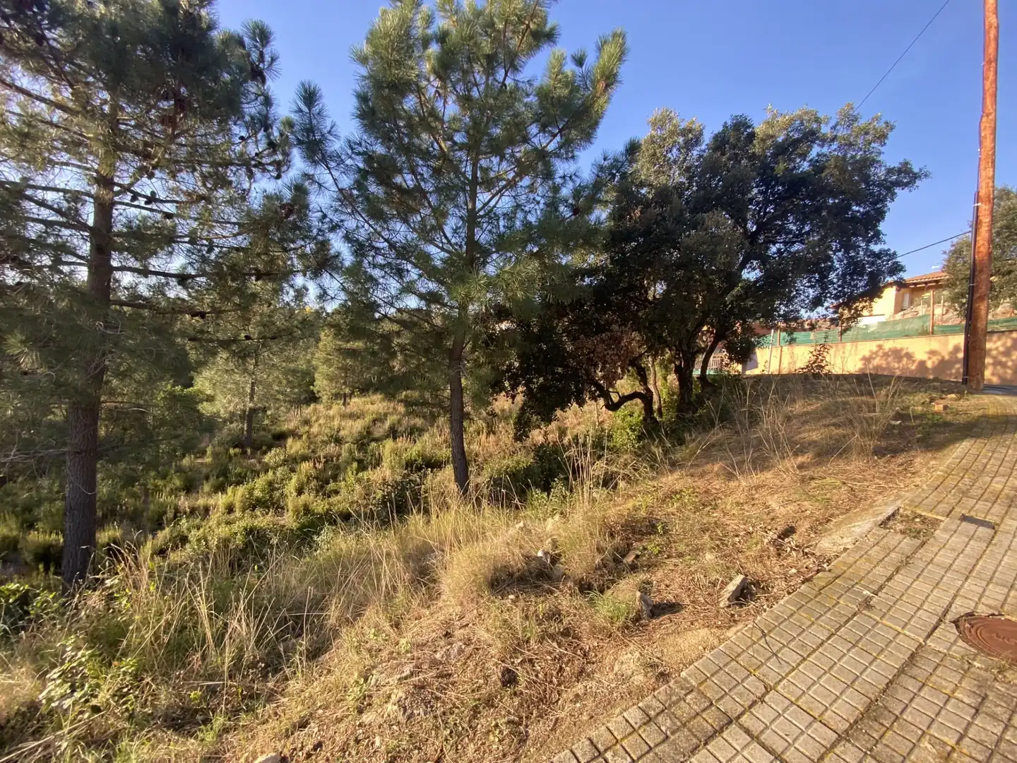 Terreno residencial en venta en Carrer Perdiu 38, imagen 16