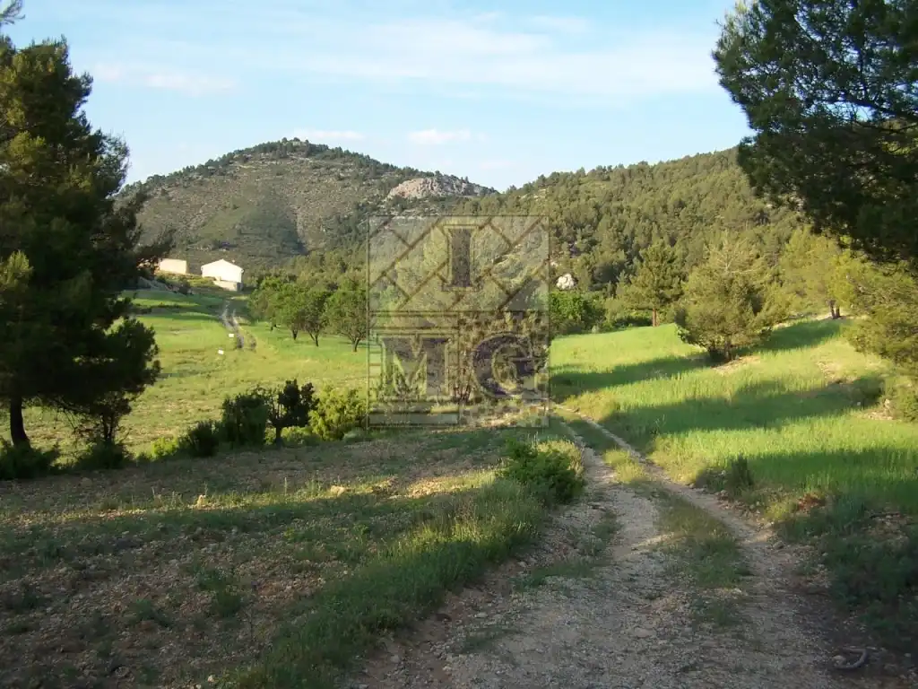 Finca rústica en venta en Yeste