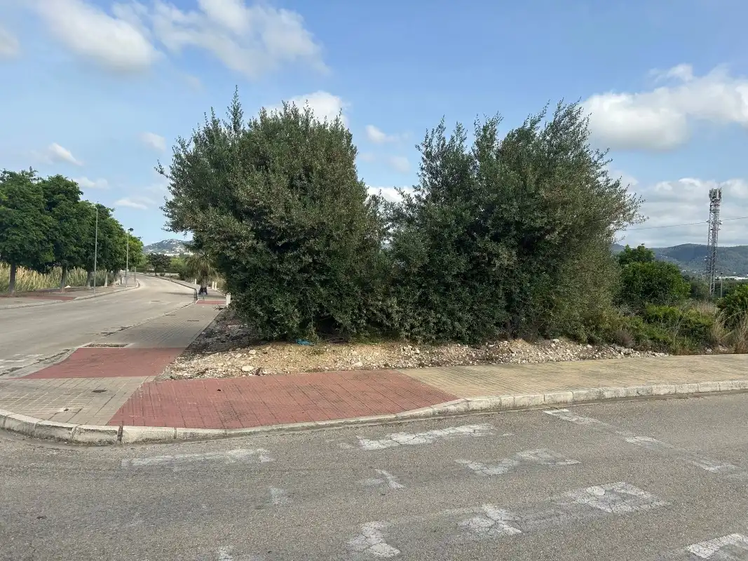 Terreno residencial en venta en Avinguda Alcalde Casimiro Bataller Arlandis 45, imagen 5