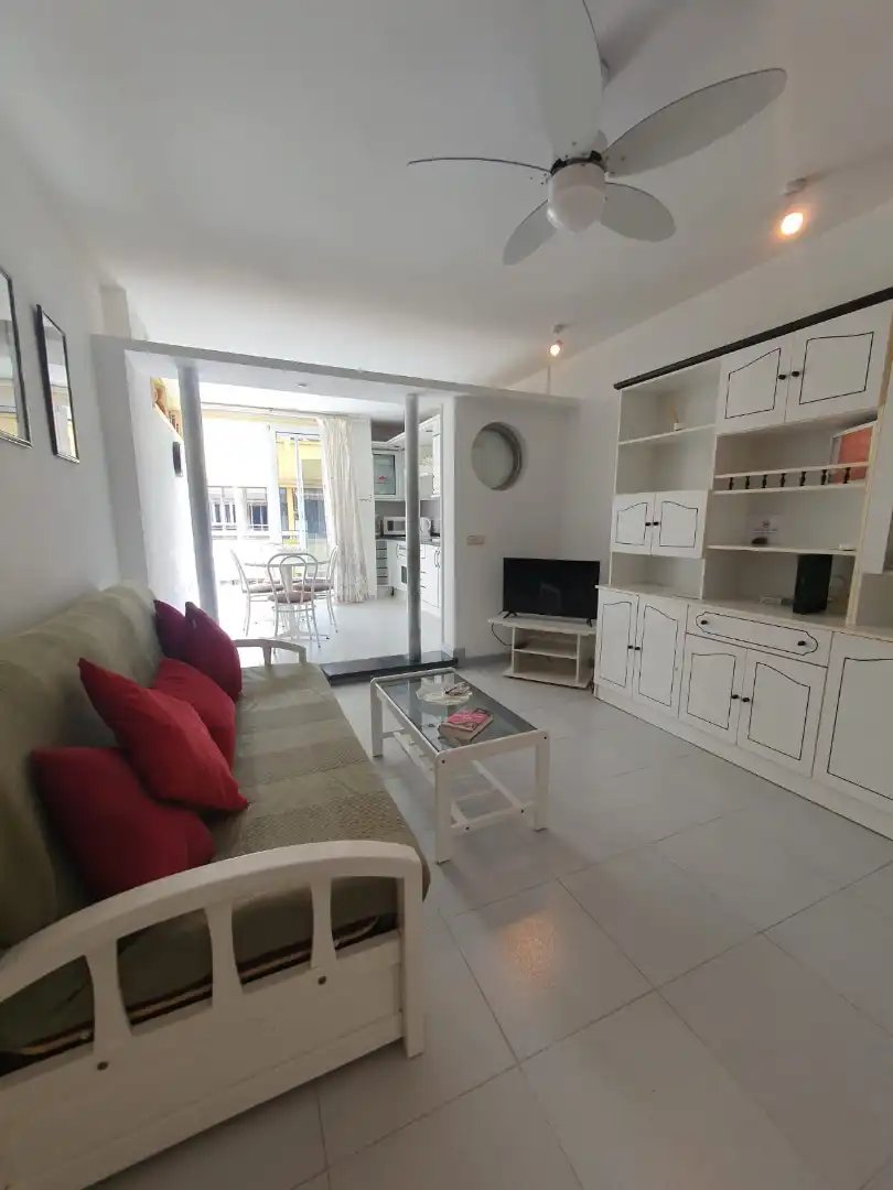 Living room of Apartments for rent in Granadilla de Abona  with Furnished, Oven and Microwave