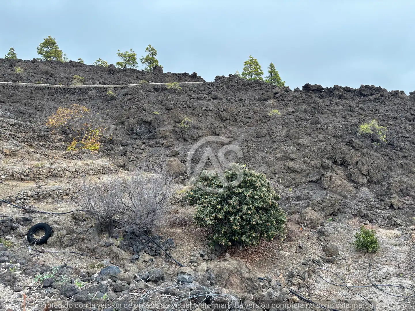 Finca rústica en venta en Güímar con Amueblado