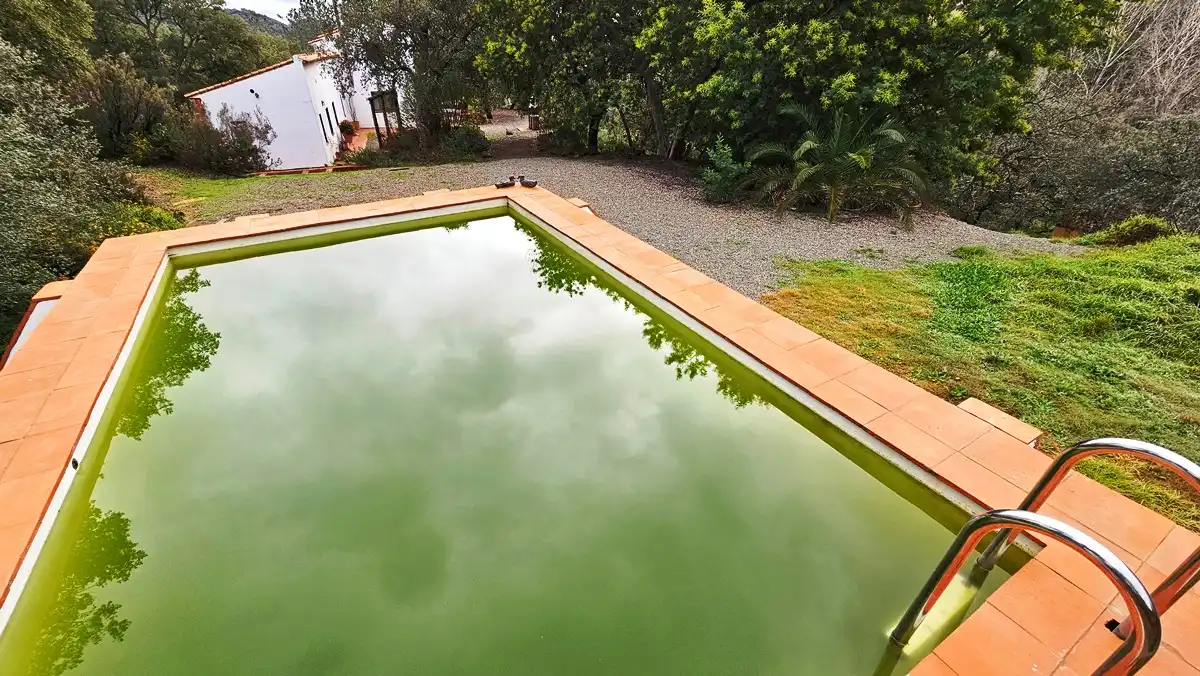 Piscina de Finca rústica en venta en Santa Ana la Real con Calefacción, Jardín privado y Terraza