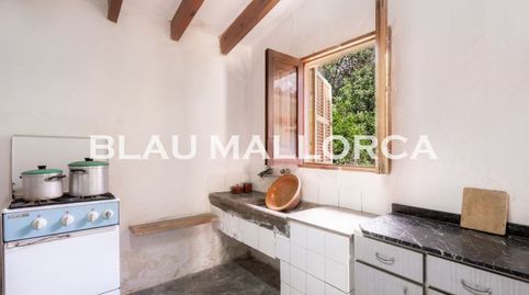 Photo 5 of Country homes for sale in Manacor Centre, Manacor