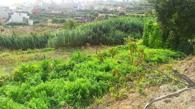 Terreno residencial en Venta en Los Realejos pueblo