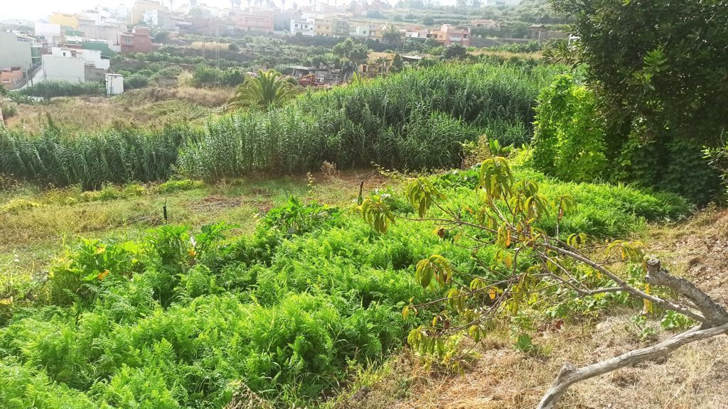 Residencial en venda en Los Realejos