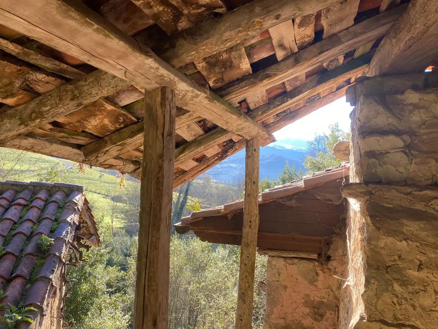 Vista exterior de Casa o chalet en venta en Cangas de Onís