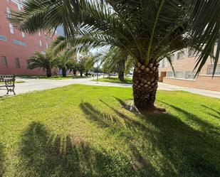 Exterior view of Flat for sale in Badajoz Capital  with Heating and Terrace