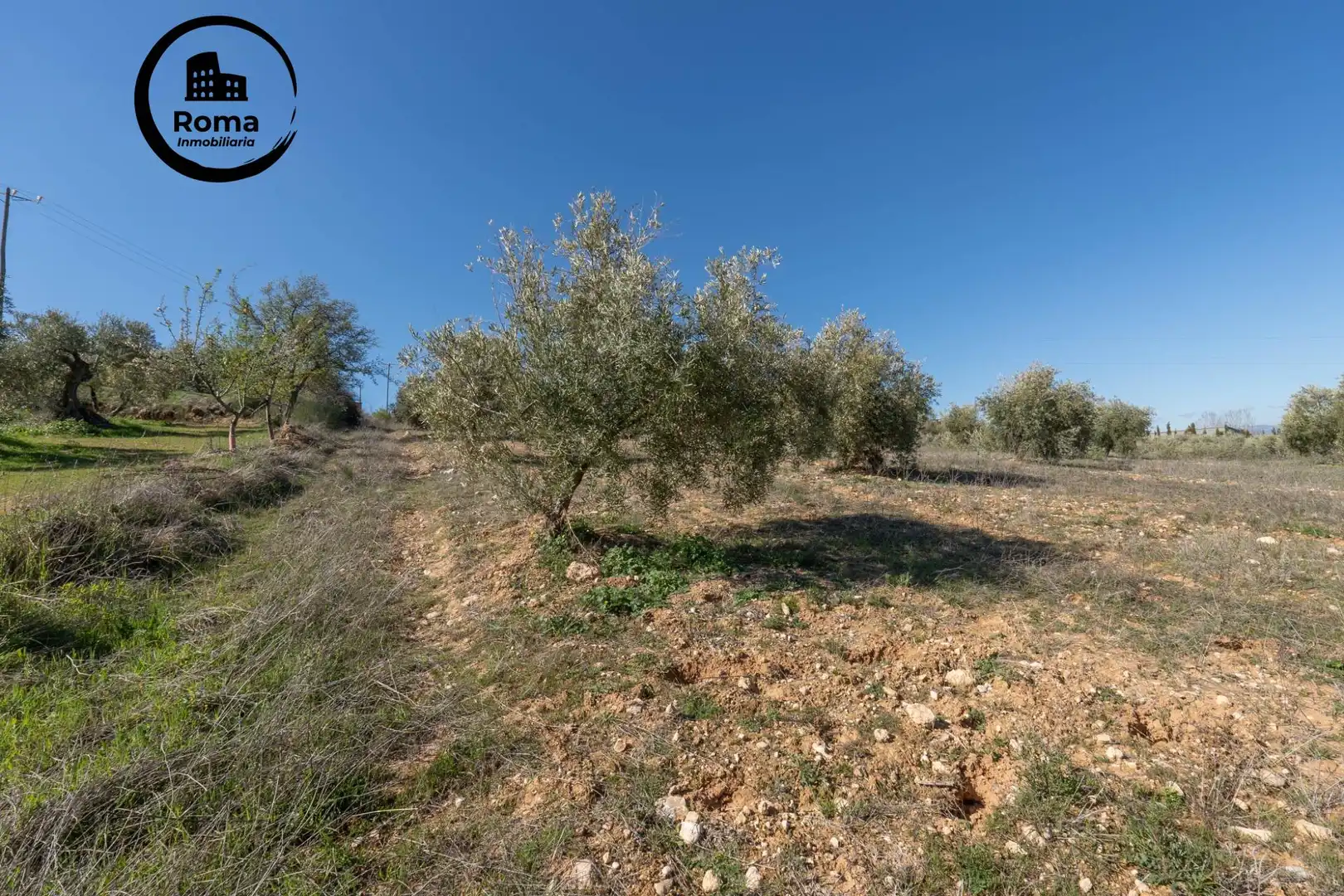 Terreni e lotti in vendita a Cogollos de la Vega, imagen 16