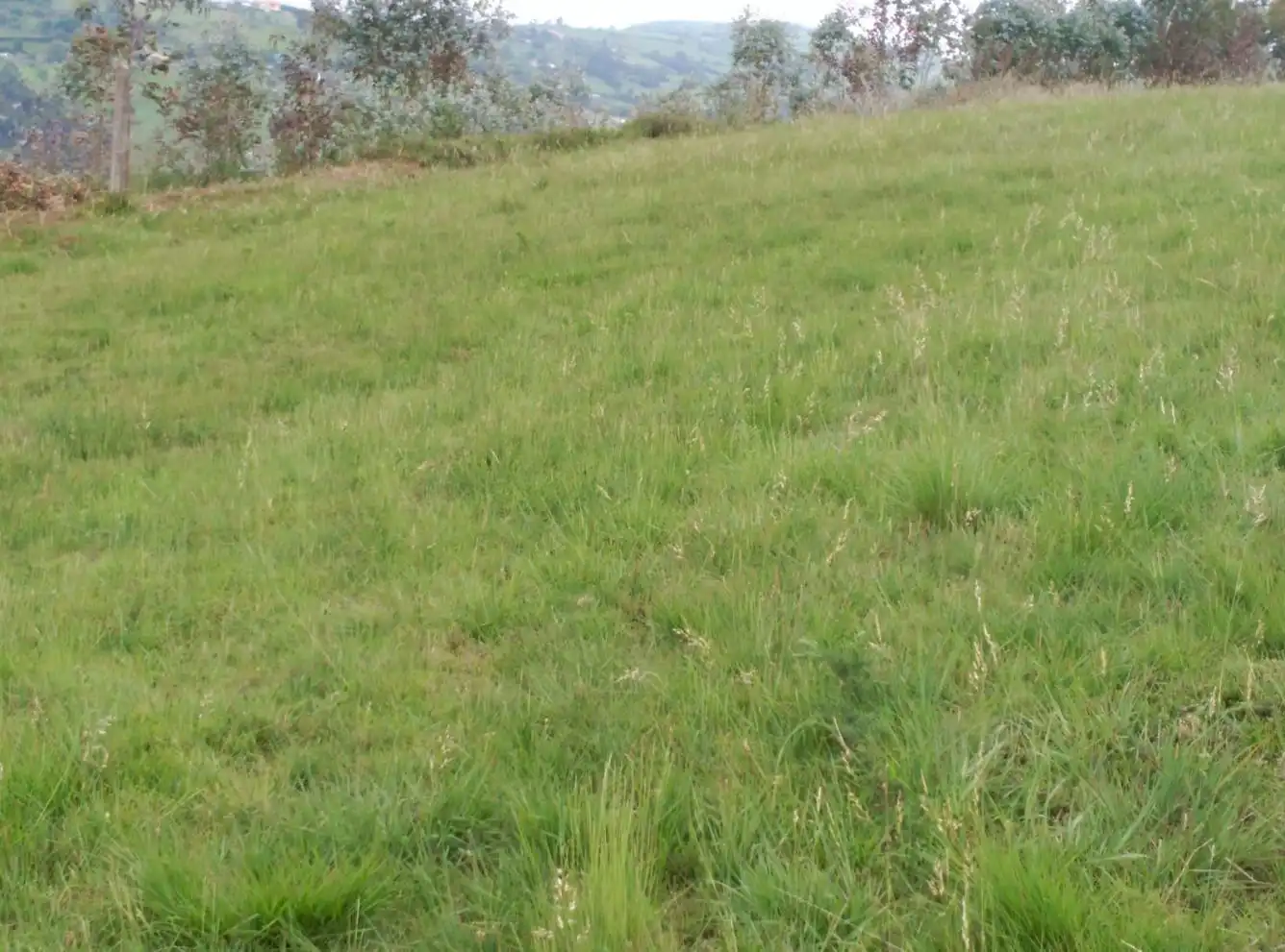 Terreny residencial en venda a Camino de la Ería, imagen 4