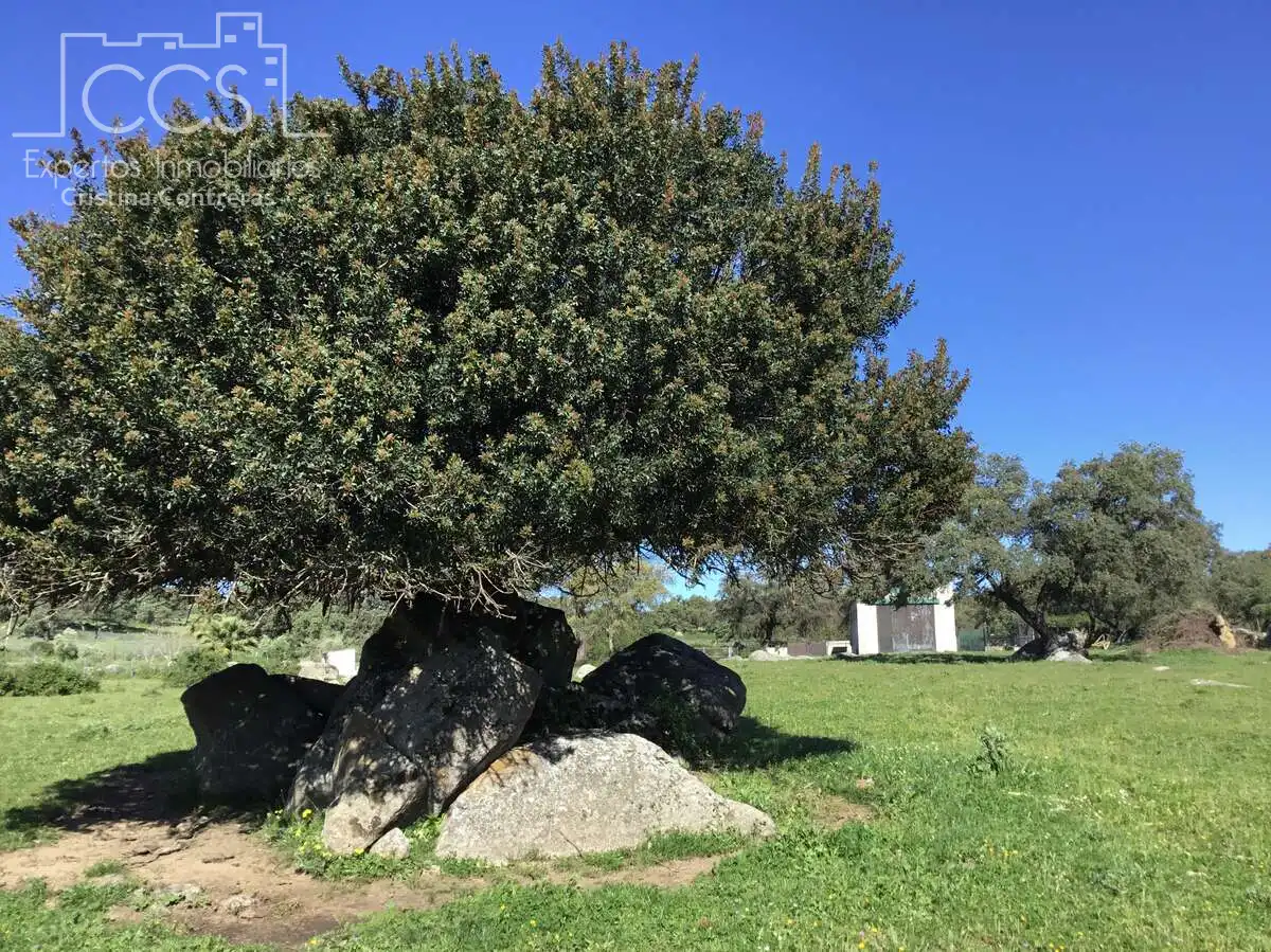 Jardí de Finca rústica en venda en El Pedroso amb Traster, Piscina i Moblat