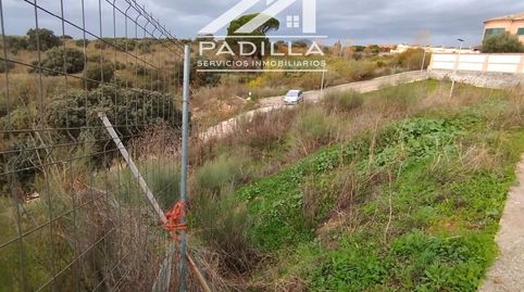 PARCELA 265M y DE 285M EN URBANIZACION HUERTO DEL PINO ESCALONA, immagine 4