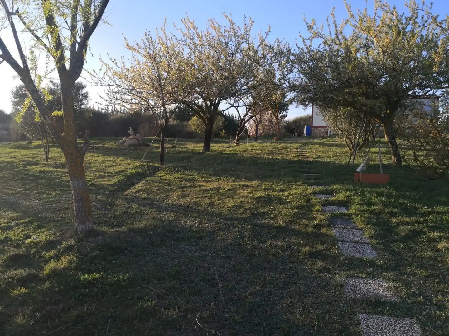 Finca rústica en venda en Modúbar de la Emparedada amb Jardí privat i Terrassa