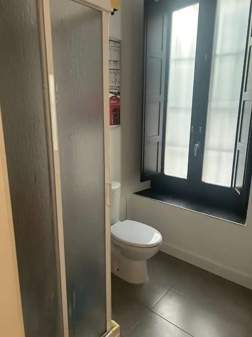 Bathroom of Apartments for rent in Granada  with Air Conditioner, Heating and Furnished