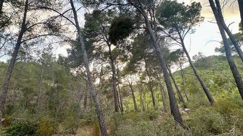 Foto 5 von Grundstücke zum Verkauf in S'Arracó, Andratx