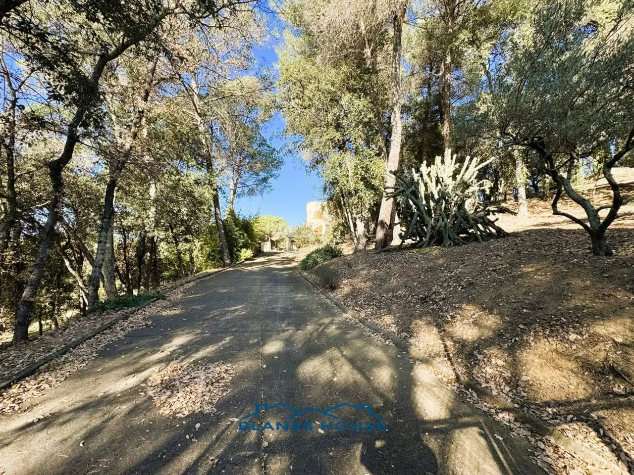 Vista exterior de Finca rústica en venda en Sant Feliu de Buixalleu amb Calefacció, Jardí privat i Terrassa