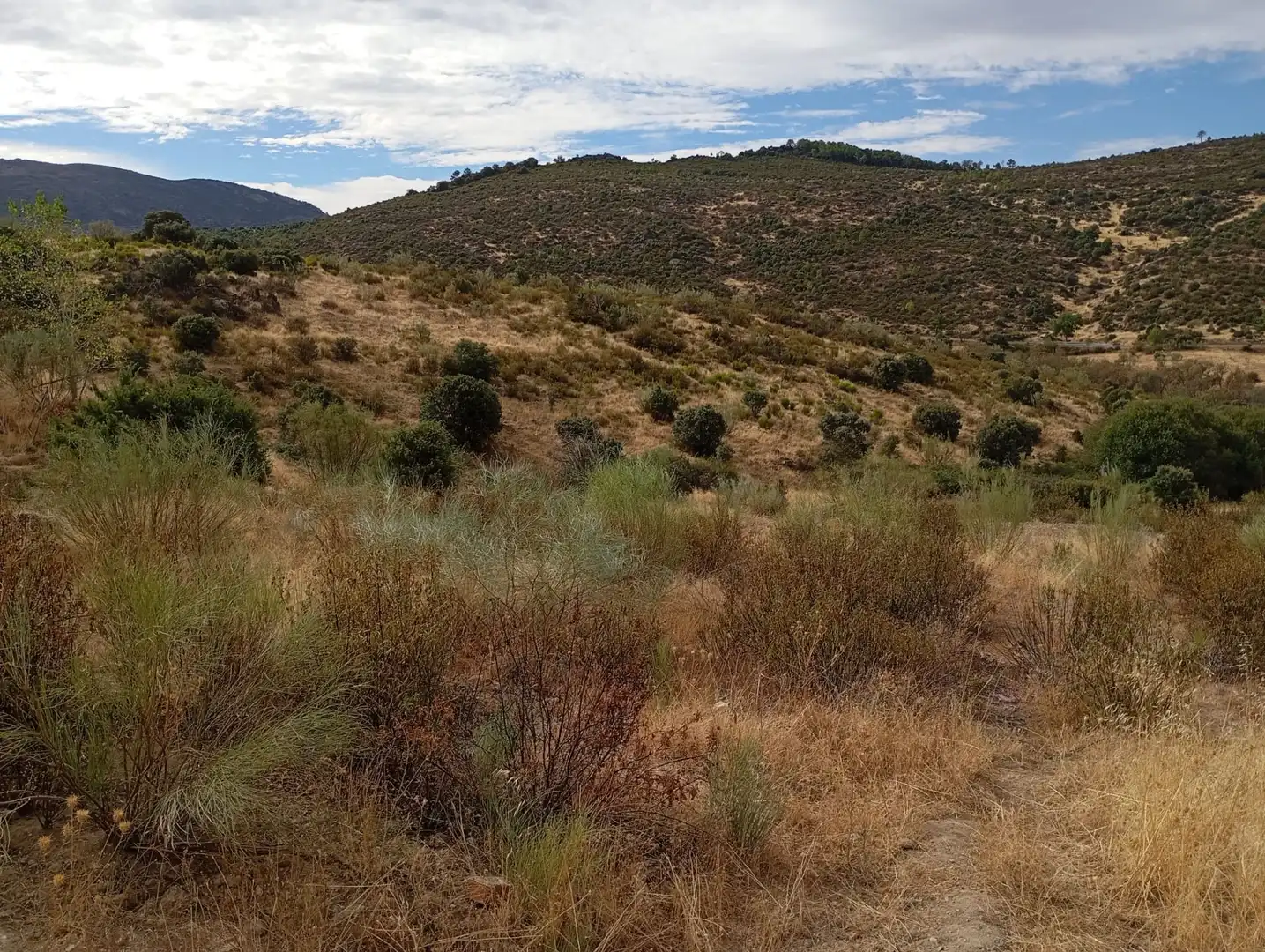 Terrenos y solares en venta en Robledo de Chavela, imagen 16
