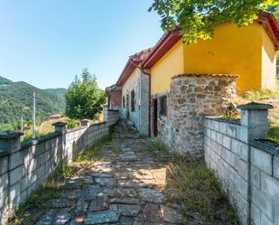 Exterior view of House or chalet for sale in Quirós