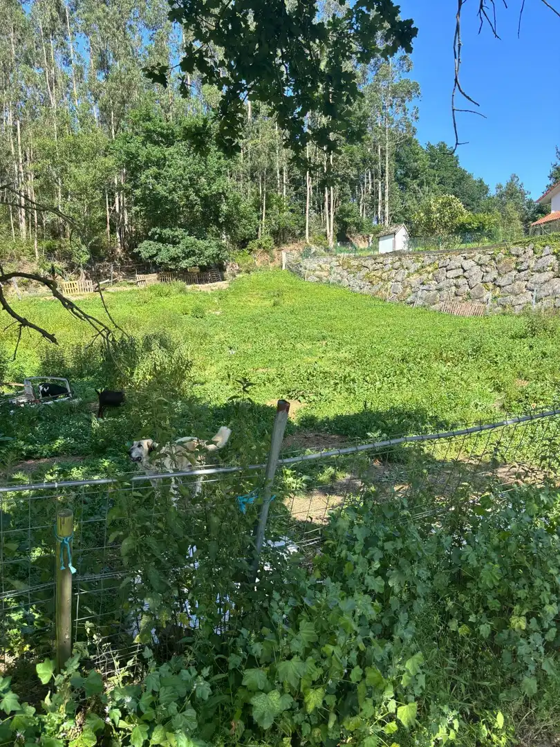 Terreno rustico in vendita a Polígono POLIGONO 504 PARCELA 43 MIRAMATA