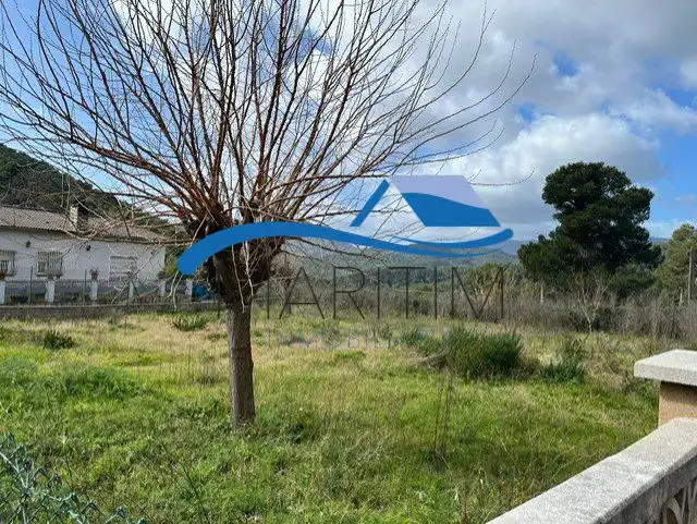 Lands and plots for sale in Tarongina, imagen 8
