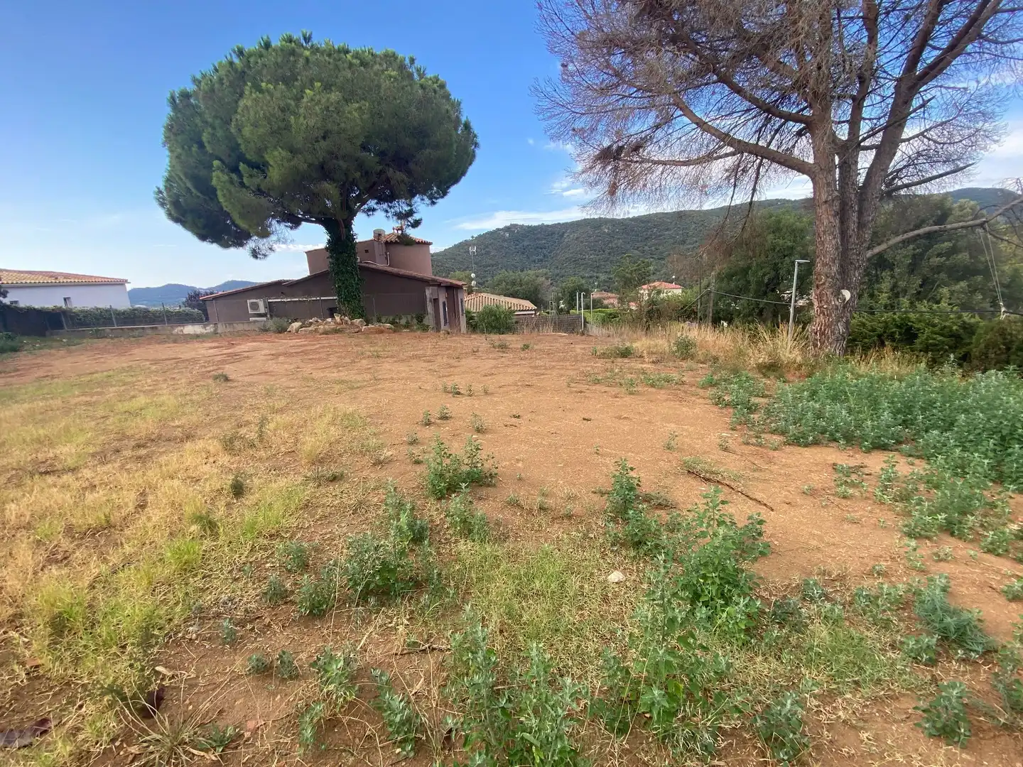 Terrains et parcelles à vendre à Mas Pere - Río de Oro, imagen 16