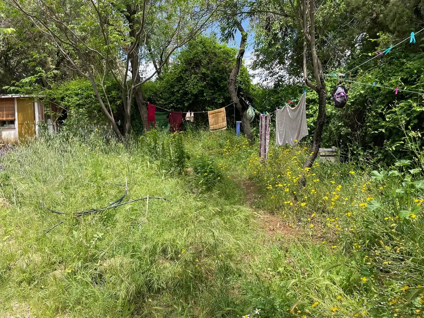 Finca rústica en venda en Carrión de Calatrava amb Calefacció, Terrassa i Traster