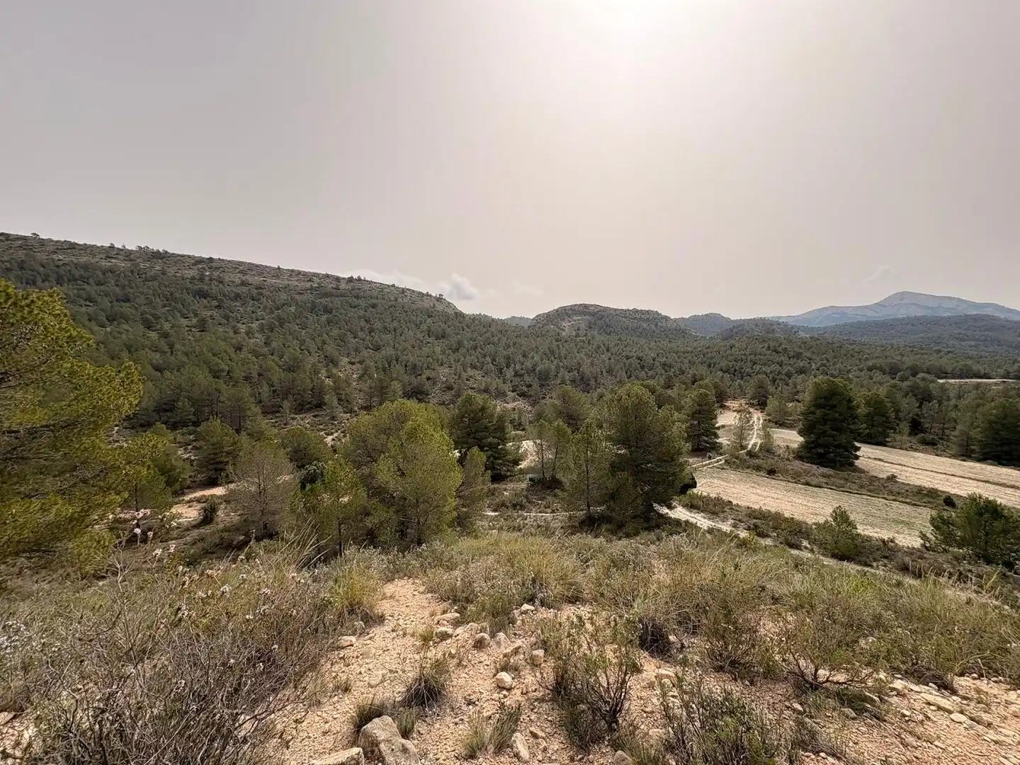 Terreno rustico in vendita a Petrer, imagen 4