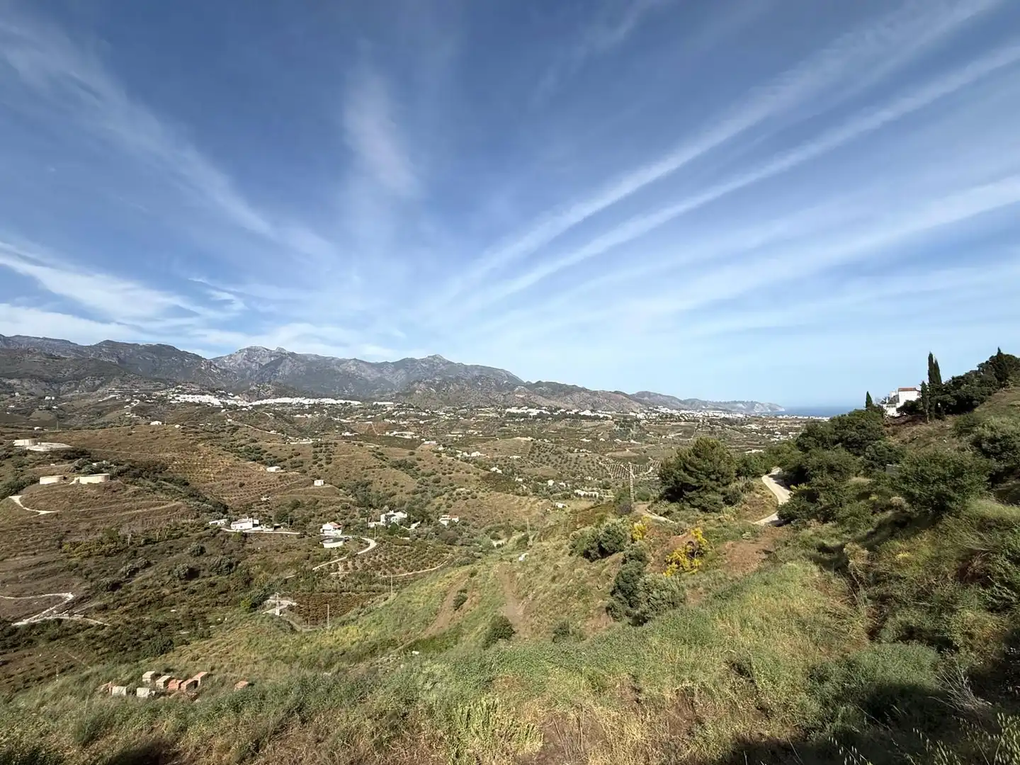 Terreni e lotti in vendita a Parcela PARCELA 309, POLIGONO 3, DEL PARAJE BARRANCO PÉREZ, imagen 12