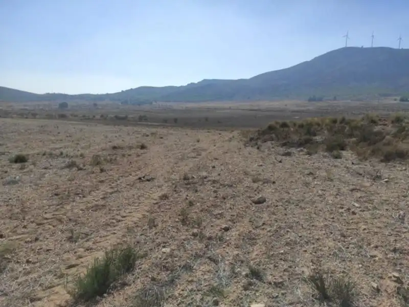 Land for sale in Cieza