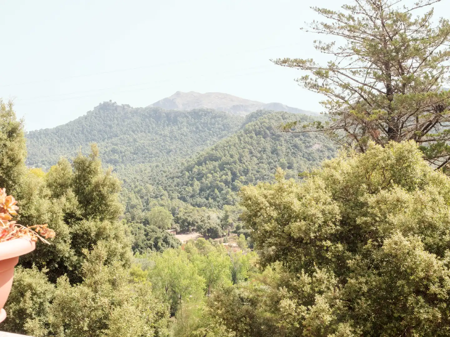 Casa o chalet en venta en Escorca con Calefacción, Jardín privado y Terraza