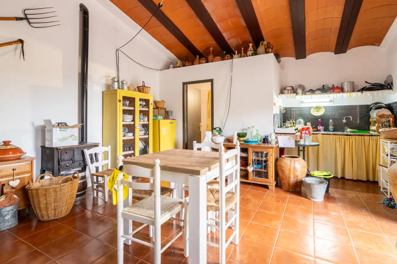 Terreno rústico en venta en Partida Camp Redo 173, imagen 6
